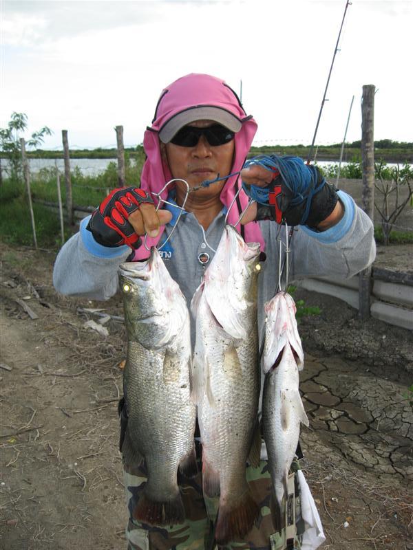 ตามกฎคนหล่อครับ วันนี้ กับสกอร์ 3 หน่วยครับ  :cool: :cool: :cool: :cool: :cool: :cool: :cool: :cool: