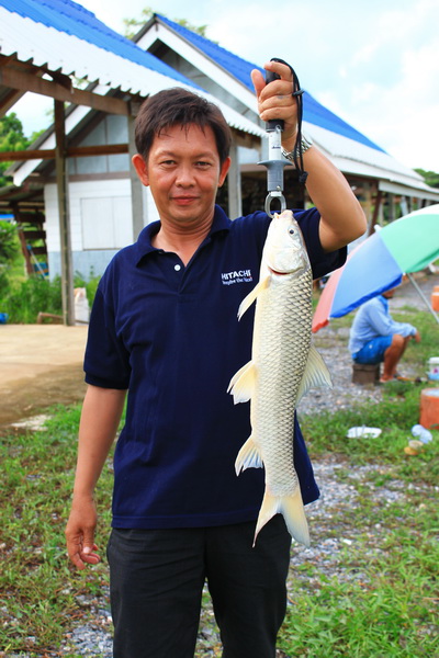 +1 ครับตามชมอยู่ครับน้า :grin: :grin: :grin: :grin:[/q]

