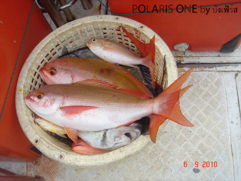 สวัสดีครับ น้าเหน่ง*อร่อย*
สวัสดีครับ น้าBLACK_MARLIN
 :love: :love: :love: :love:
==============