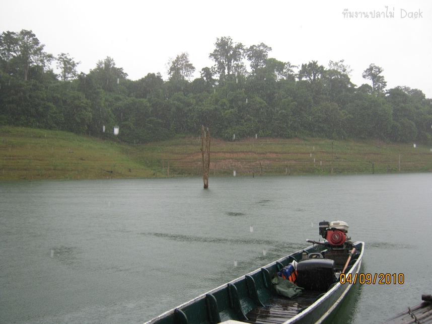 
ทางด้าน น้าอัด  เอาเรือออกไปอีกฝั่ง  เจอฝนหนักตลอดบ่าย

ไปแอบจอดเรือนอน บนแพร้าง แถวไหนไม่รู้ จน