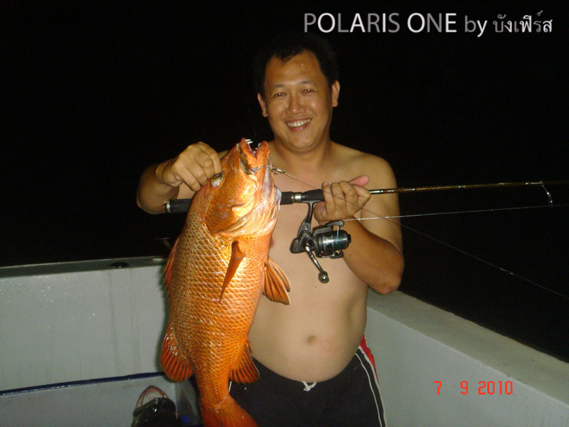 [q][i]อ้างถึง: ศาลายอด posted: 10-09-2553, 18:01:58[/i]

ตามด