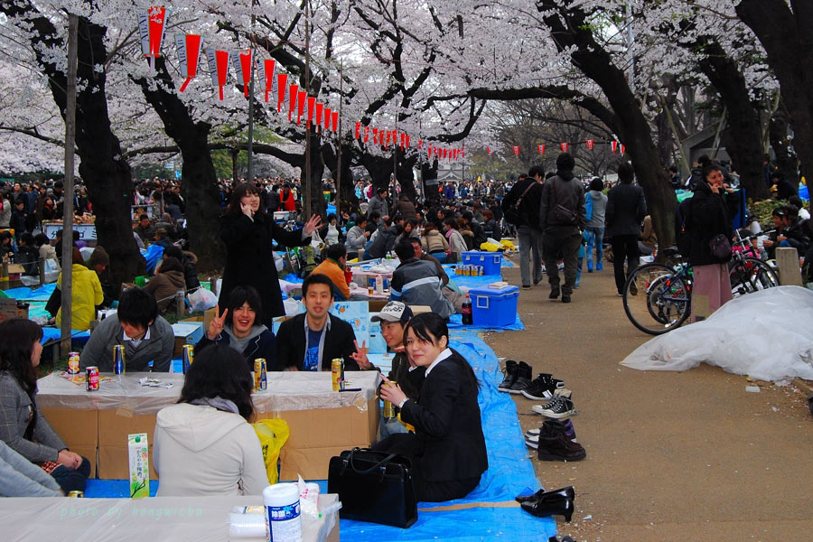 ช่วงเทศกาลชมดอกไม้แบบนี้คนญี่ปุ่นจะนำอาหารและเครื่องดื่มมานั่งดื่มกินใต้ต้นซากุระ..จะมีทั้งกลุ่มเพื่