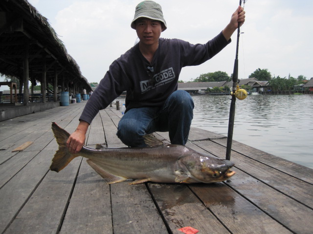 [q][i]อ้างถึง: นกเหงา posted: 13-09-2553, 08:45:41[/i]

[q][i]อ้างถึง: divil_fish posted: 12-09-25