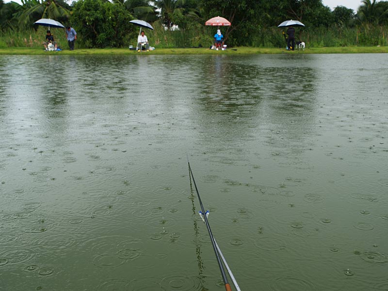 และแล้วฝนก็เริ่มโปรยเม็ดลงมา 
