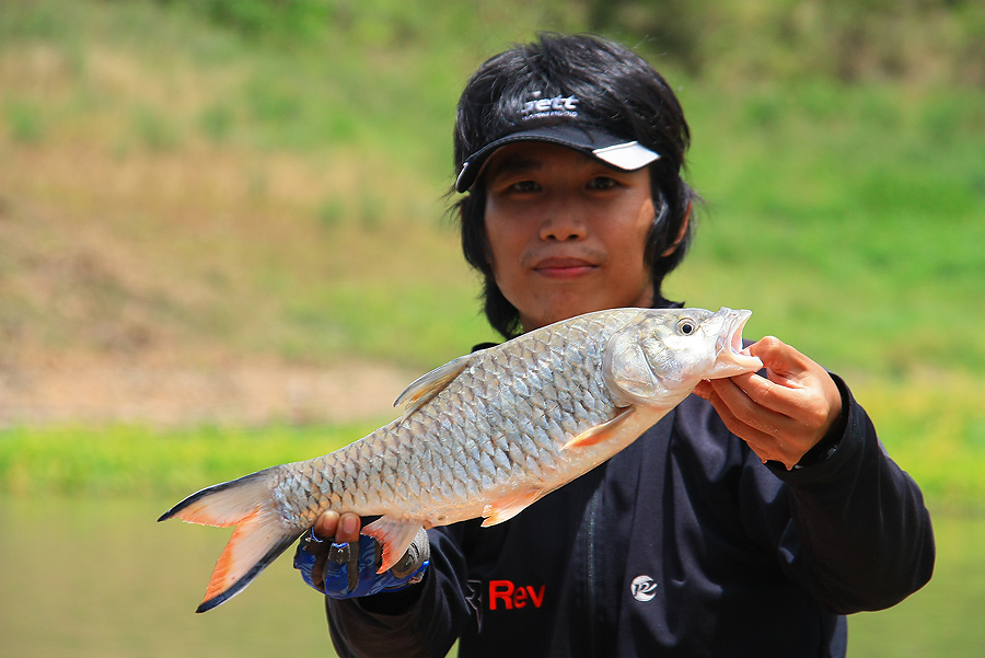ปลาของน้าเม่น ตัวสวยจริงๆจร้า...

ปีหน้าขึ้นโปรแน่น๊อนนน ชินแสมาด ฟาดธงไว้เลย
 :grin: :grin: :gri