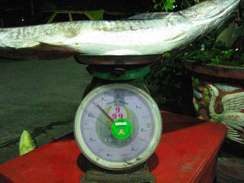 ตัวนี้6.6กิโลครับ  ถ้าชั่งบนเรือน่าจะใกล้ๆ7โลเป็นแน่ :grin: