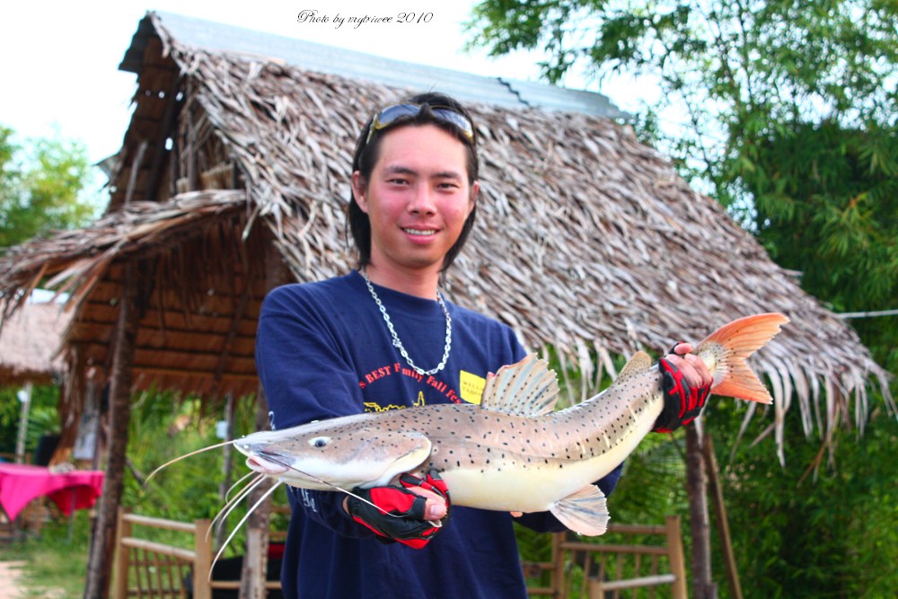 ตัวแรกของพี่แน็ทเป็นไทเก้อร์ :grin: :grin: