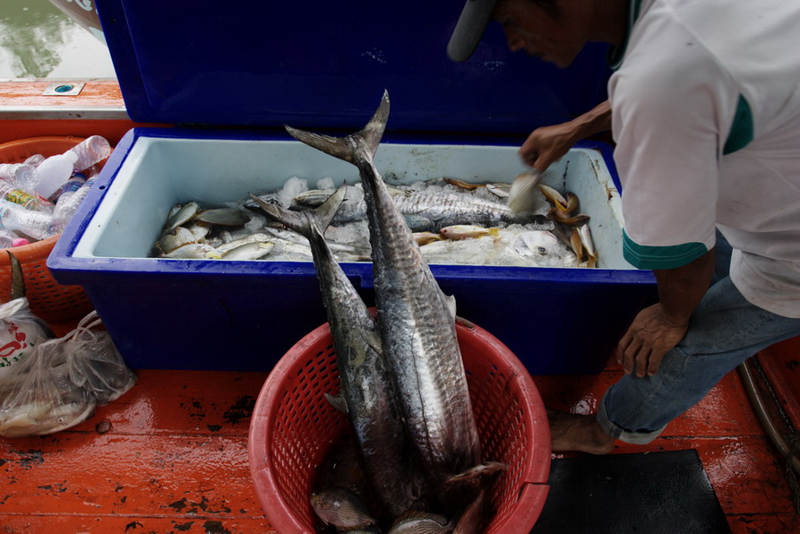 ช่วยกันลำเลียงผลงานของพวกเราขึ้นจากเรือครับ :cheer: :cheer: :cheer: :cheer: