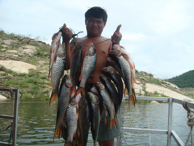 จัดไป