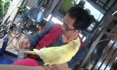 ไม่ได้ให้ดูนกนะ

ดูข้างหลัง

กำลัง