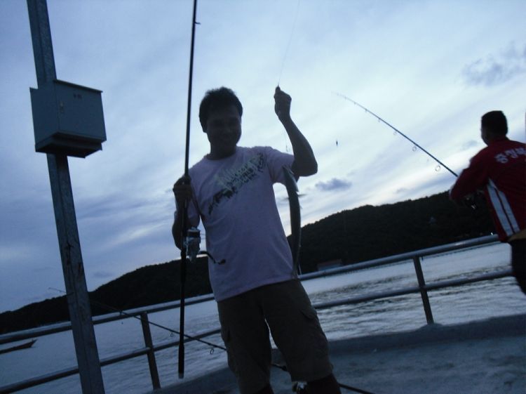 

     จัดให้หน่อยครับ


                :cool: