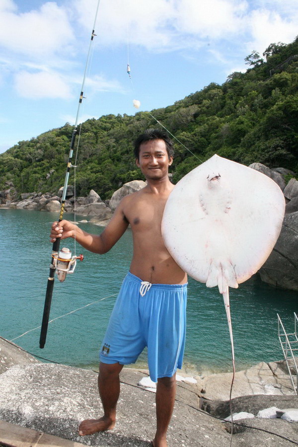 กระเบน หาดญวน เกาะพะงัน