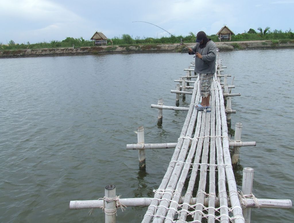 น้าตำไร อยู่ข้างซ้าย ส่วนน้าที่มาใ