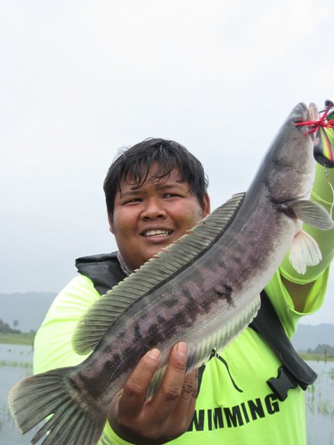 [q][i]อ้างถึง: dewfish posted: 16-09-2553, 11:44:56[/i]

 :cheer: :cheer: :cheer: :cheer: :cheer:[