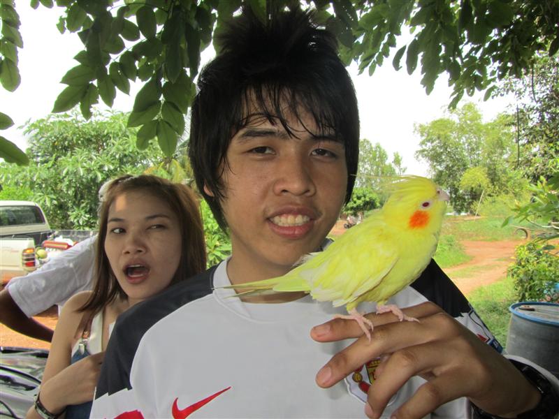  :angry: :angry: :angry: :laughing: :laughing: :laughing: มีกล้องไม่ได้ 