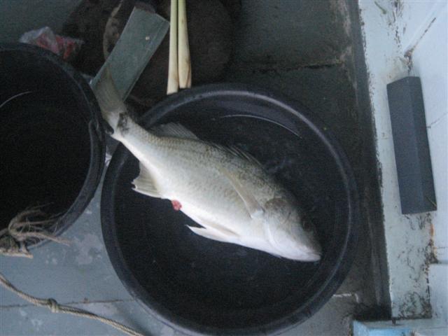 โดนกินแน่ :laughing: :laughing: :umh: