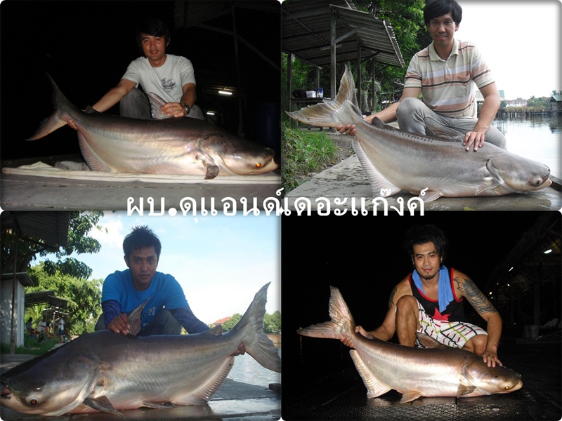 [q][i]อ้างถึง: noch posted: 17-09-2553, 08:36:04[/i]

สรุปทีม ณ.ว