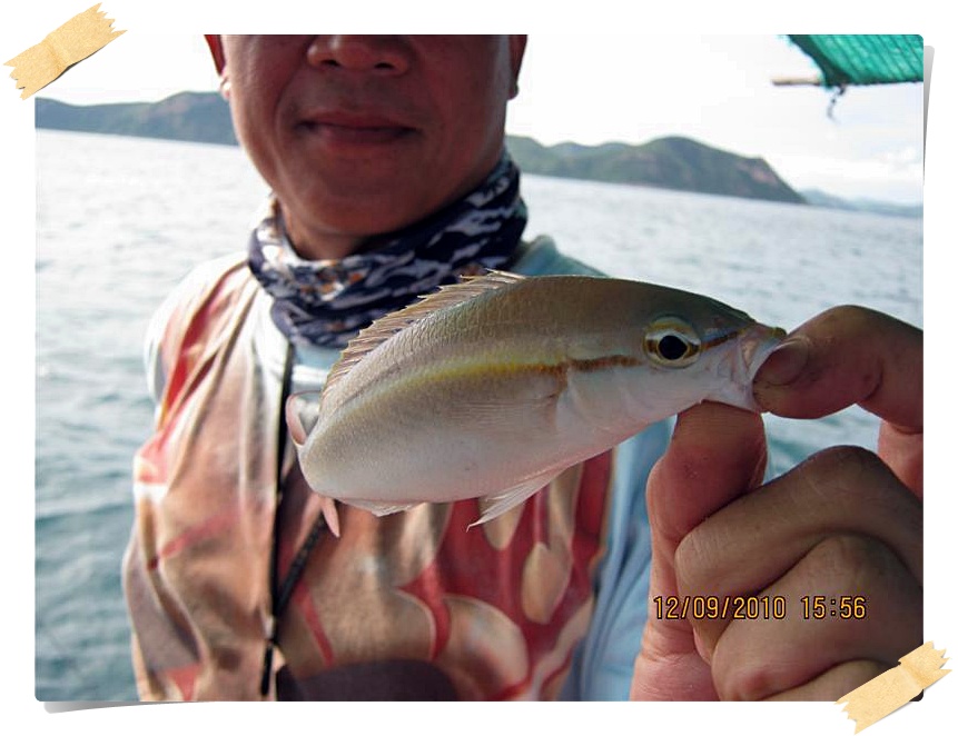  [b]" เรนโบว์..ก็มี...ชุกเสียด้วยแสมสารนะครับ..."[/b]

 :heart: :heart: :heart: :heart: :heart: 