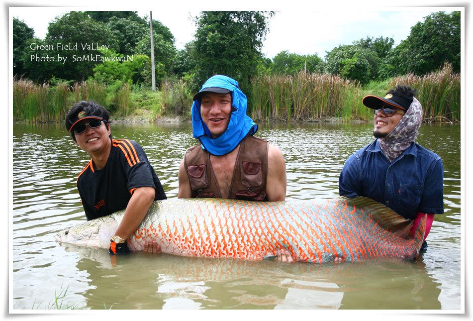 ขอพิธีกรของเรามั่ง  ปลาดูตัวเล็กไปเลยทีเดียว  :grin: