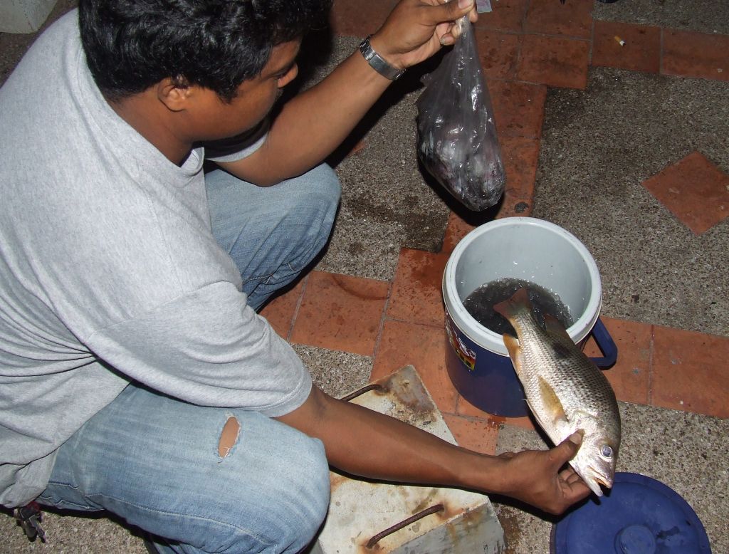 อันนี้ปลาของ นักตกปลาชาวบ้านที่มาตกด้วยกัน  :cheer: