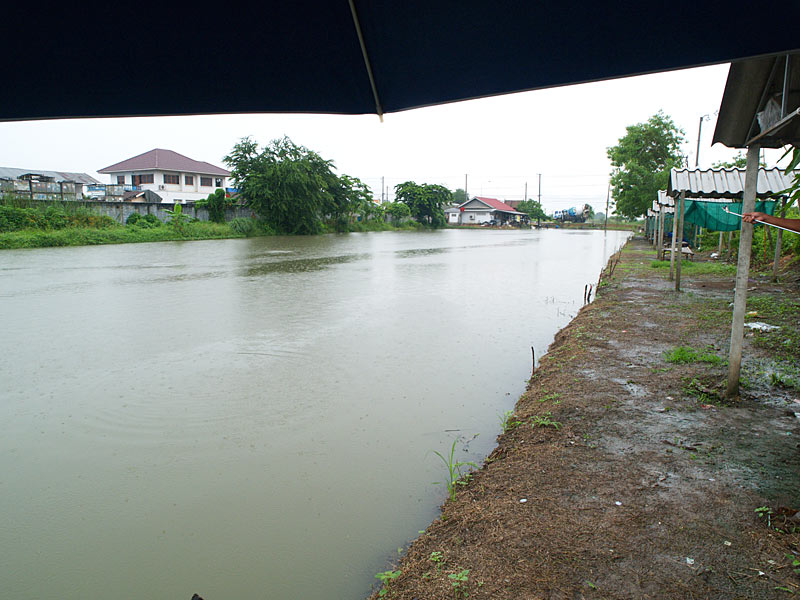 รอจนฝนซาเม็ดลง แล้วก็เดินลุยกันไปนั่งท้ายบ่อ เห็นว่าเป็นแหล่งอาศัยของ เล่งใหญ่