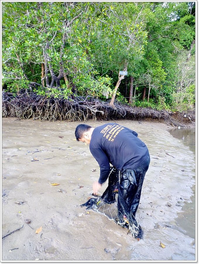 เดินสืบเท้า..หาดชายเลนไปต่อเผื่อมี