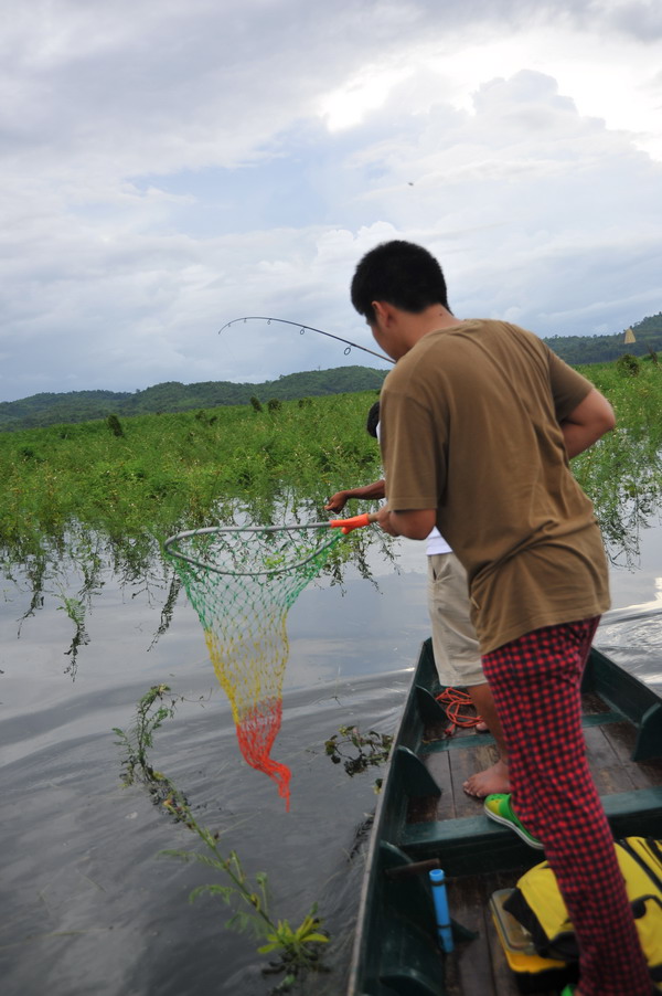  [b]ออกจากพิมาย 7.30 น ไปถึง บ่าย 4 โมงเย็น ออกเรือเลยครับไปถึงหมายตีไม้แรกปลากัดเลย อะไรจะเพลินขนาด