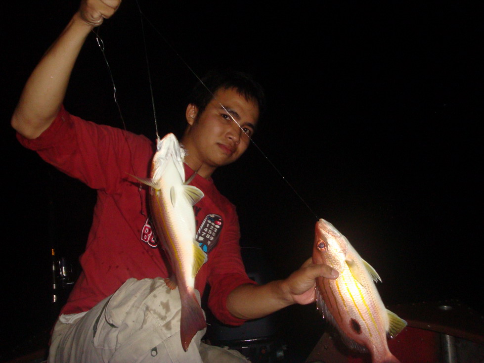 แบบนี้มาเป็นคู่
ปลาเนื้อดีที่ผมชอบครับ
ข้างปานสีชมพู ไซค์นีได้มาหลายอยู่
แต่ไม่ได้ถ่าย

 :cool: