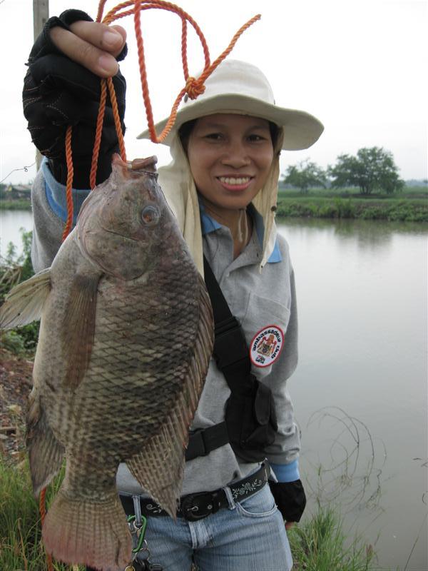 ตัวสวยซ๊ะด้วย อิอิ เอาไว้ก่อน กำไล อิอิ  :laughing: :laughing: :laughing: :laughing: :laughing: :lau