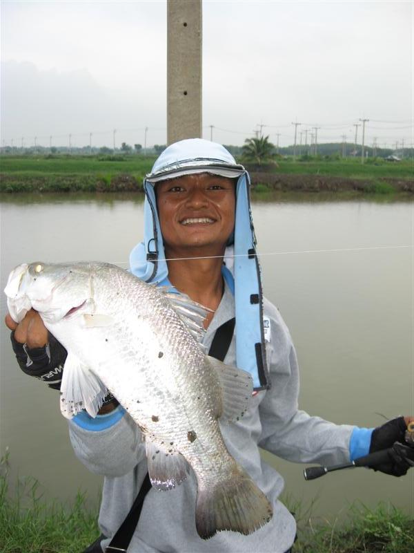 อีกรูปครับ  :cool: :cool: :cool: :cool: :cool: :cool: :cool: :cool: :cool: :cool: :cool: :cool: