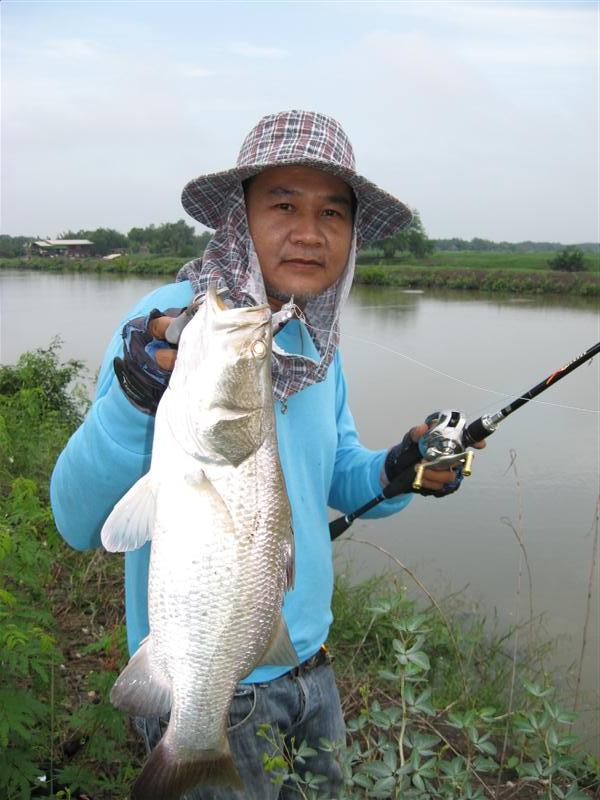 อ้วนปุกเลย  :cool: :cool: :cool: :cool: :cool: :cool: :cool: :cool: :cool: :cool: :cool: :cool:
