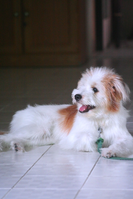[q][i]อ้างถึง: ป้าแป้ง posted: 21-09-2553, 09:27:03[/i]

[b]โย่วๆ น้าออม หายไปเลยอ่ะ

เป็นไงมั่ง