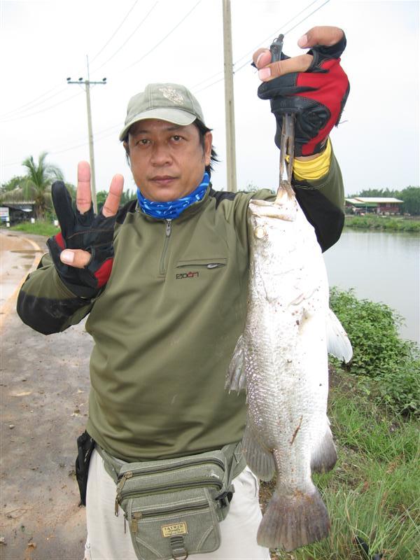 ใส่แฟลชซ๊ะหน่อย อิอิ  :cool: :cool: :cool: :cool: :cool: :cool: :cool: :cool: :cool: :cool: :cool: