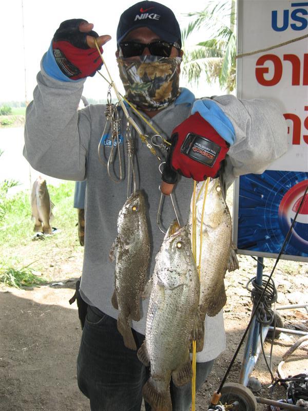 อีกรูปครับ  :cool: :cool: :cool: :cool: :cool: :cool: :cool: :cool: :cool: :cool: :cool: