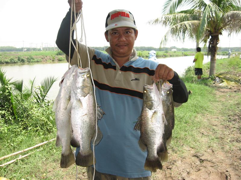 ผลงานของเพื่อน น้าทวี ครับ กดไปซ๊ะ 4 หน่วยครับ (นี่ก่อนหม่ำข้าวนะครับ)
:cool: :cool: :cool: :cool: 