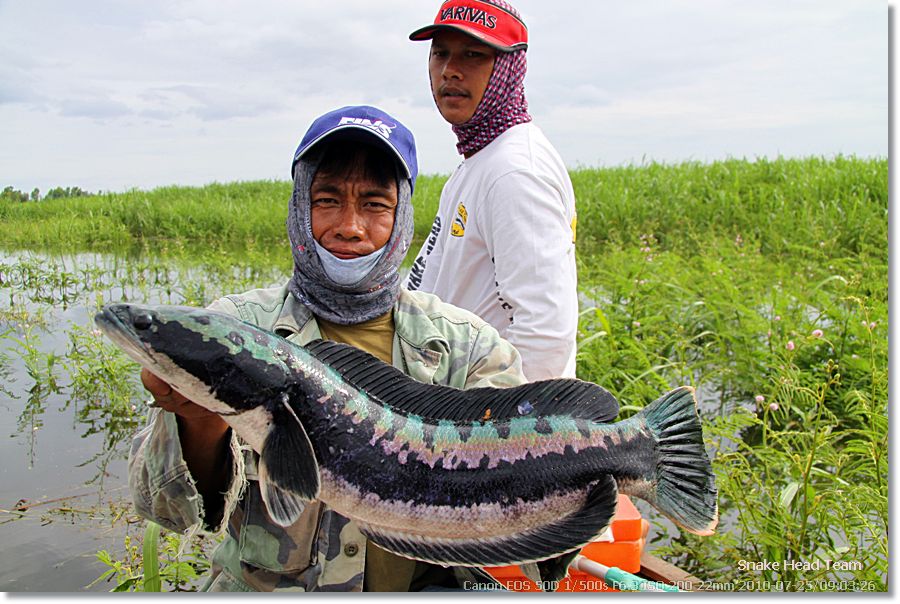  [b]สวัสดีครับน้าพงษ์อนันต์ [/b]