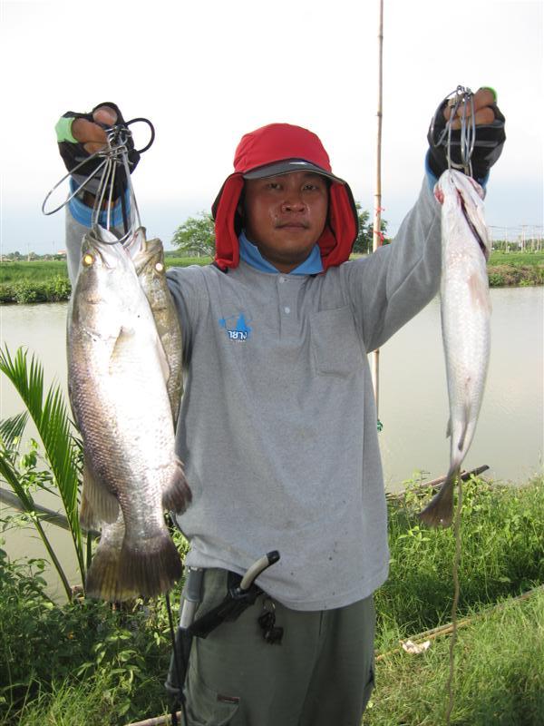 หล่อแบบนี้ต้องจัดให้อีกภาพครับ   :cool: :cool: :cool: :cool: :cool: :cool: :cool: :cool: :cool:

[