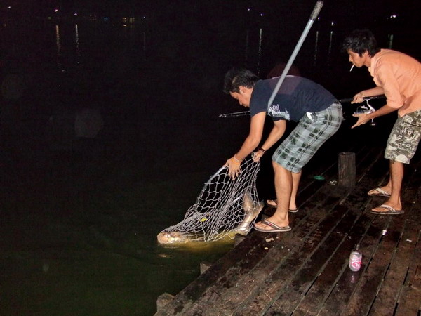 ช้อนให้ไว ตัวนี้พี่ขอ :grin: