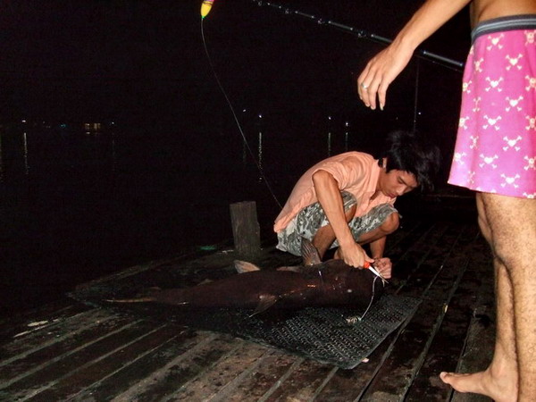 หึหึ เพียวกินตรูยาก พี่มันสายแข็งไอ้น้องงงงงงง :grin: