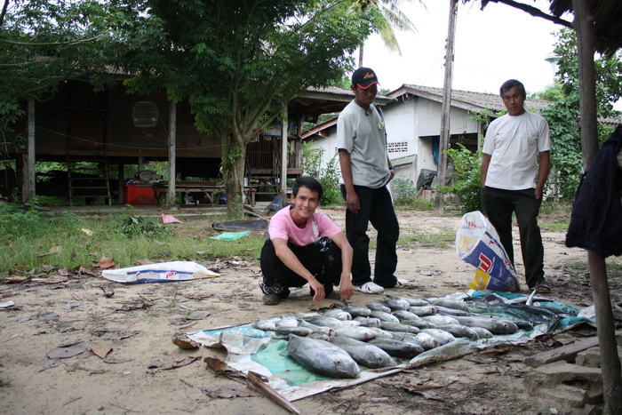 รูปสุดท้ายแล้วครับเอาใว้ไปตีแล้วจ