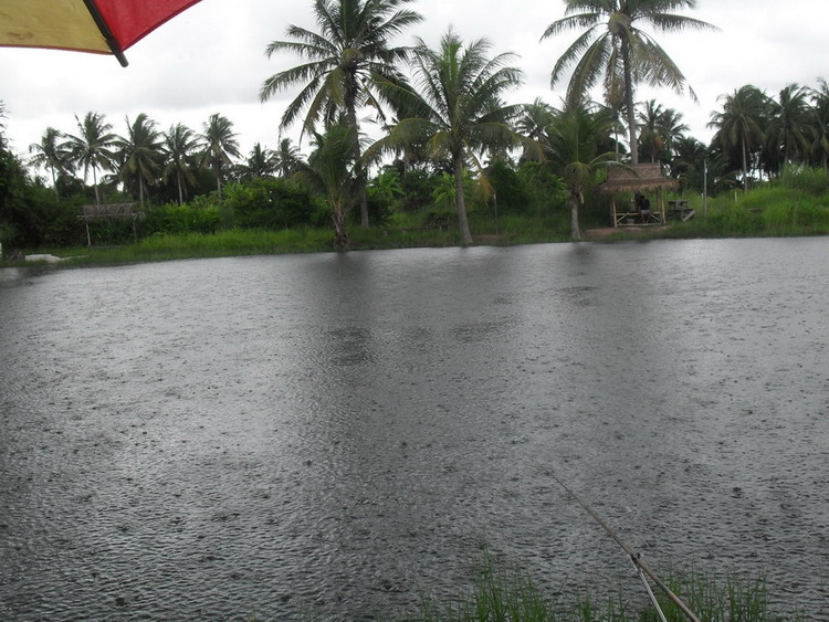 กำลังลุ้นหลิวอยู่ดีๆ ฝนก็เทลงมาอีกแล้วครับ เป็นอะไรกันเนี่ยวันนี้ เดี๋ยวตกเดี๋ยวหยุด เอ้อ .... :spin