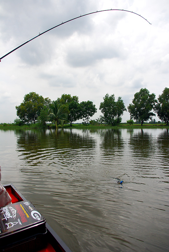  [b]เรือก็เล็ก แถมแต่ละคนที่ลงเรือก็ตัวเล็ก(กว่าวัวนิดนึง)กันทั้งนั้น ไม่มีมุมจะถ่ายจริงๆ ได้แค่นี้แ