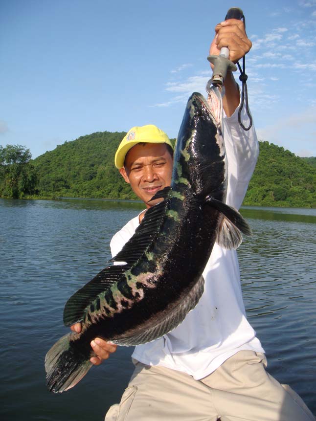 จะเอียงไปไหน.......... :laughing: :laughing: