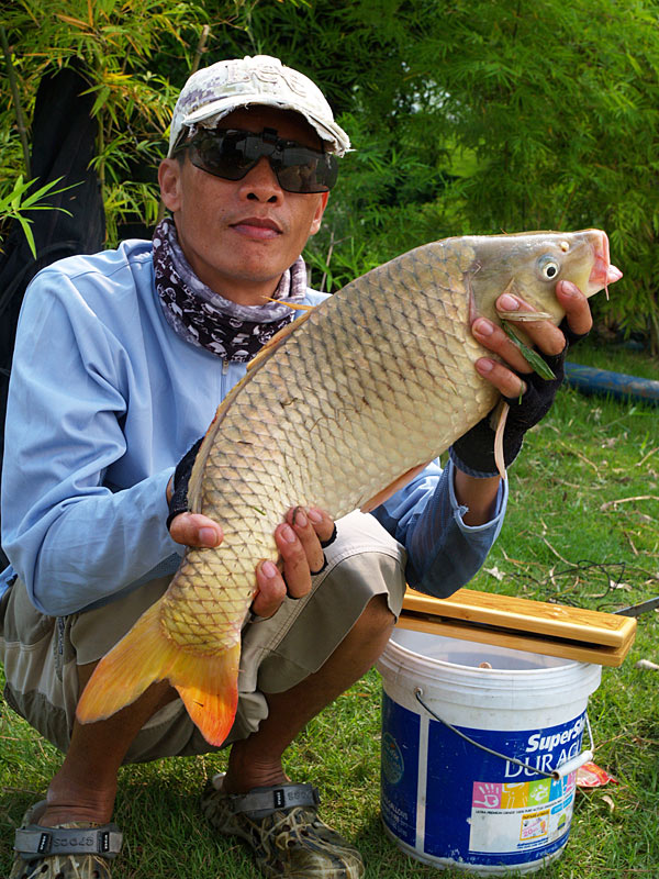 ขออีกภาพครับ 