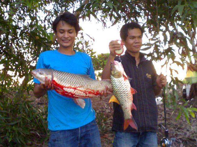 ทดลองคร๊าบ..ขอขอบคุณคร๊าบ