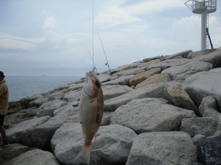 [q][i]อ้างถึง: fishingjoke posted: 27-09-2553, 21:37:05[/i]

+++++ครับ ตามไปด้วย :talk: :talk: :ta