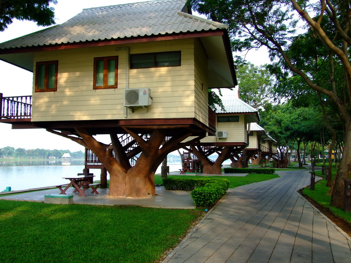 บ้านที่เราพักกันครับ "บ้านต้นไม้" :gri