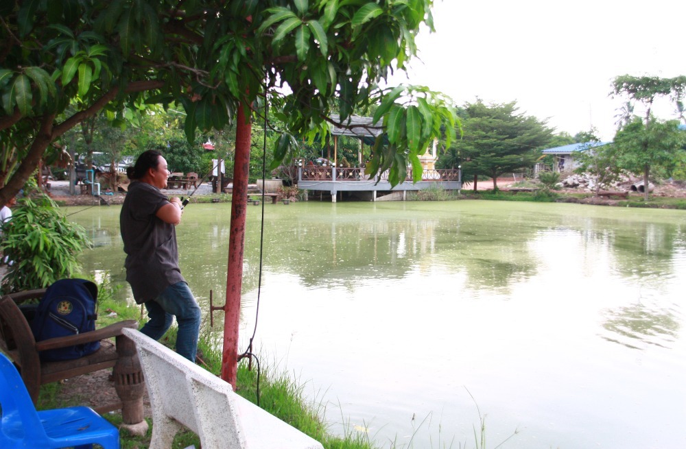 ดูคนอื่นไปกินข้าวตัวเองมาตีปลา  มั