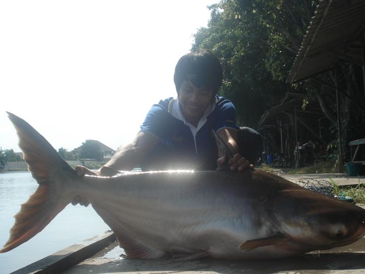 อีกรูปครับ :cool: :cool: