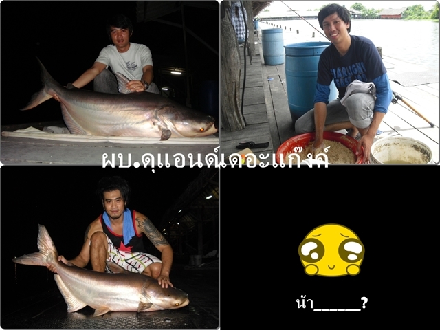 ประกาศ

 :talk: :talk: :talk: :talk: :talk: :talk: :talk: :talk: :talk: :talk: :talk:

ตอนนี้สมา